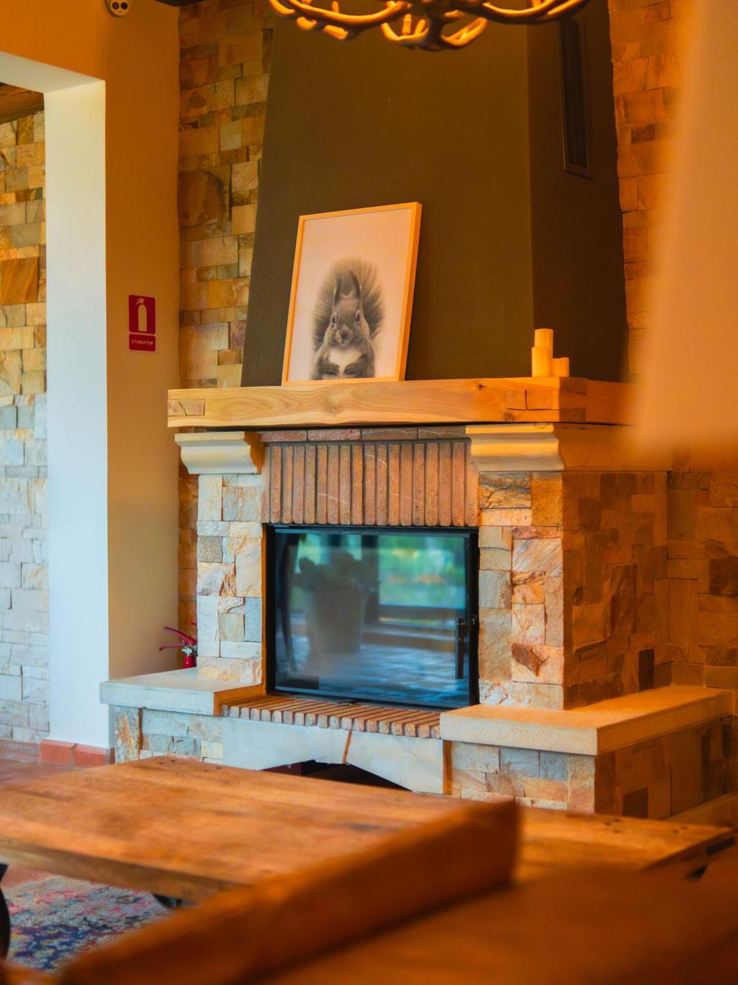KABAN Boutique Hotel Vatra Dornei Extérieur photo